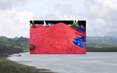 টেকনাফ-উখিয়া সীমান্তে মাদকের দৌড় থামছেনা
