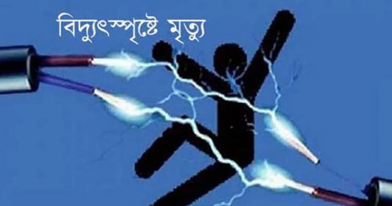 পেকুয়ায় বিদ্যুৎস্পৃষ্টে যুবকের মৃত্যু