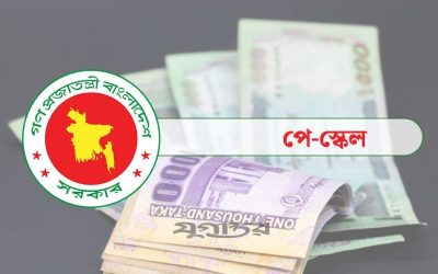 বেতন-ভাতা নিয়ে পে কমিশনের নতুন পদক্ষেপ