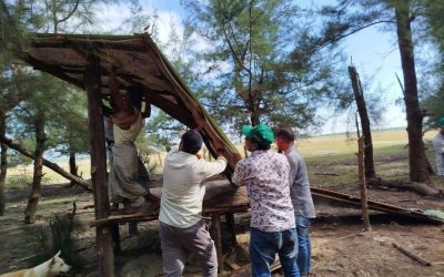 সোনাদিয়ায় বন বিভাগের অভিযানে অবৈধভাবে তৈরি কটেজ উচ্ছেদ