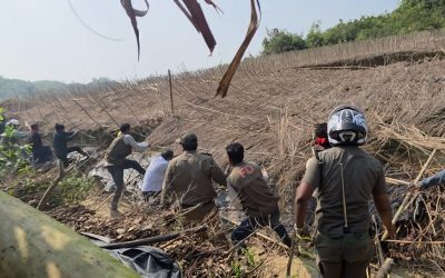 অবৈধ দখলদারদের কবল থেকে রামুর ৬০ হেক্টর বনভূমি উদ্ধার