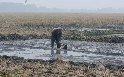 তেঁতুলিয়ায় টানা ৫ দিন সর্বনিম্ন তাপমাত্রা রেকর্ড