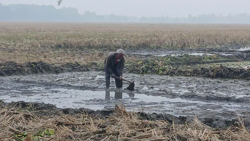 তেঁতুলিয়ায় টানা ৫ দিন সর্বনিম্ন তাপমাত্রা রেকর্ড