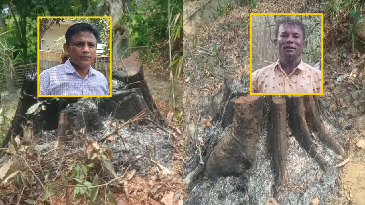 মাদার ট্রি হত্যায় বিট কর্মকর্তা মান্নানের বিরুদ্ধে ধামাচাপার বিস্ফোরক অভিযোগ
