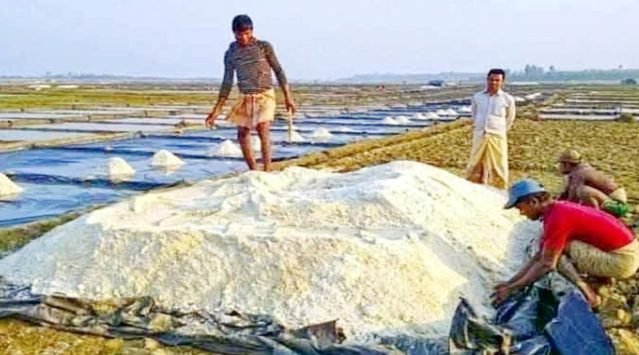 অবিক্রীত লাখ লাখ টন লবণ, আমদানির উদ্যোগে চাষিদের উদ্বেগ