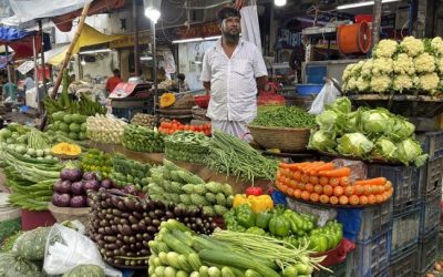 কমেছে কাঁচা মরিচের দাম, বেড়ে গেছে মুরগির দাম