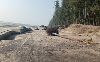 কক্সবাজারে সৈকত রক্ষায় ৬২৪ কোটি টাকার প্রকল্প প্রস্তাব