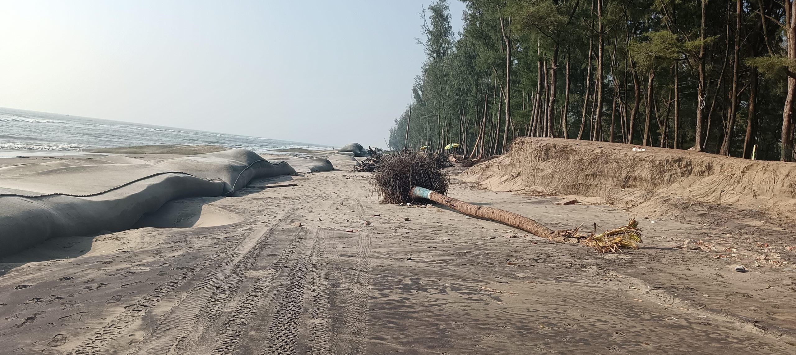 কক্সবাজারে সৈকত রক্ষায় ৬২৪ কোটি টাকার প্রকল্প প্রস্তাব
