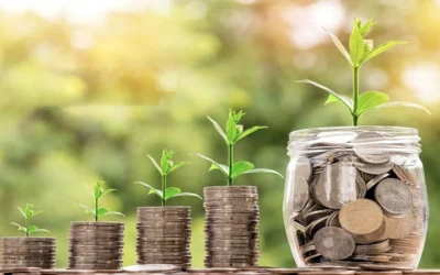 জাকাত, সম্পদের পবিত্রতা ও বরকত বৃদ্ধির মাধ্যম এবং সামাজিক ভারসাম্যের বিধান