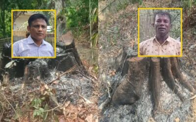 মাদার ট্রি হত্যায় বিট কর্মকর্তা মান্নানের বিরুদ্ধে ধামাচাপার বিস্ফোরক অভিযোগ