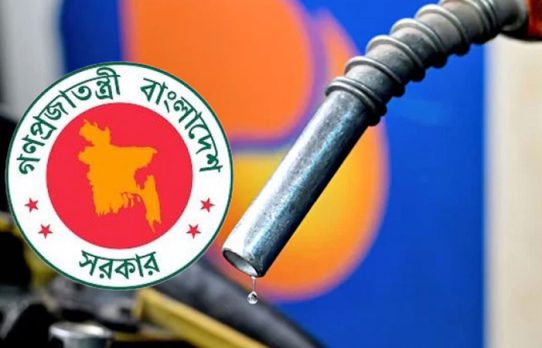 জ্বালানি সংকট কাটাতে তিন মাসের মজুতসহ ১২ দফা সুপারিশ