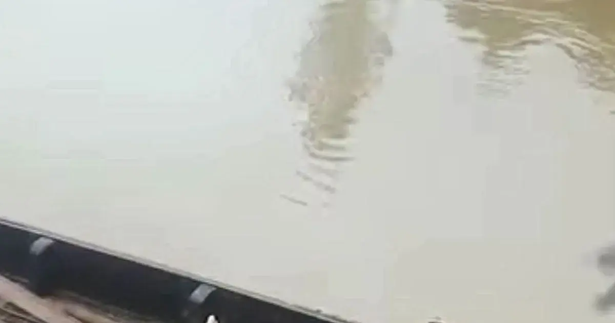রামুতে ছড়ার পাশের গর্তে পড়ে ৪ বছরের শিশুর মৃত্যু