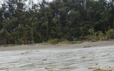 পাহাড়ি ঢলে ভেসে নিখোঁজ সাজিদ, চার দিন পর মিলল মরদেহ