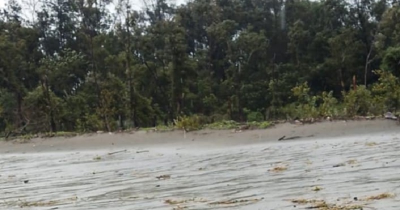 পাহাড়ি ঢলে ভেসে নিখোঁজ সাজিদ, চার দিন পর মিলল মরদেহ