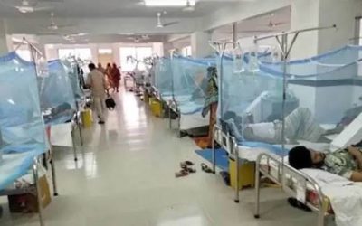 কক্সবাজারে হামের পর এবার ডেঙ্গুর শঙ্কা, রোহিঙ্গা ক্যাম্পে সবচেয়ে বেশি সংক্রমণ