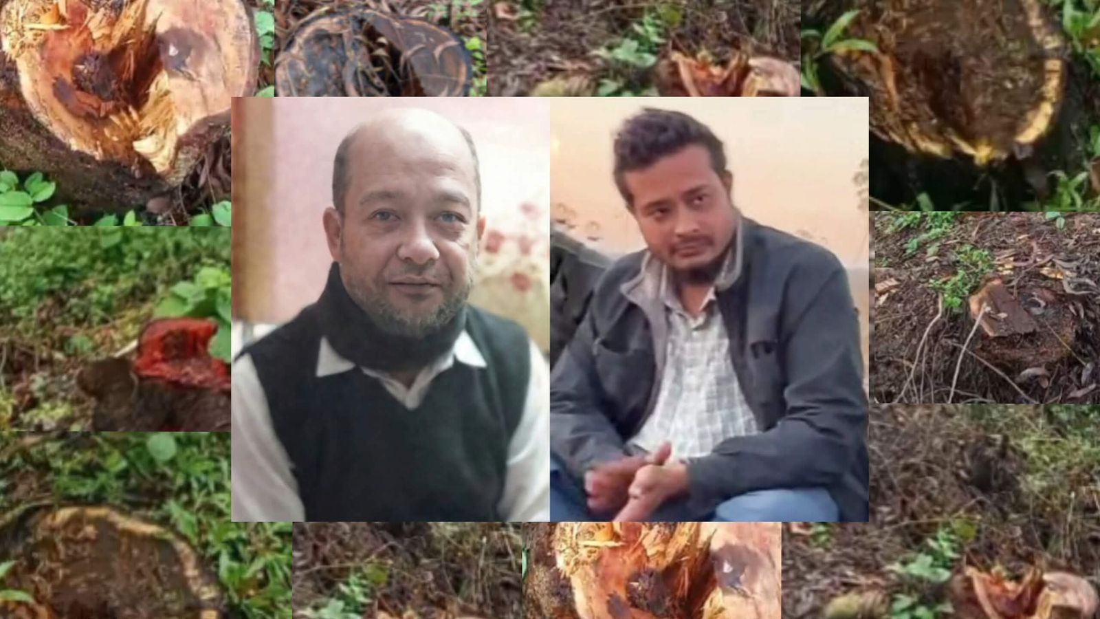 প্রশাসনের নাকের ডগায় সরকারি গাছের হরিলুট, বেপরোয়া গাছ-চোর চক্র!